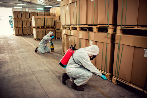 Best Cockroach Control Services  in South Greensburg, PA