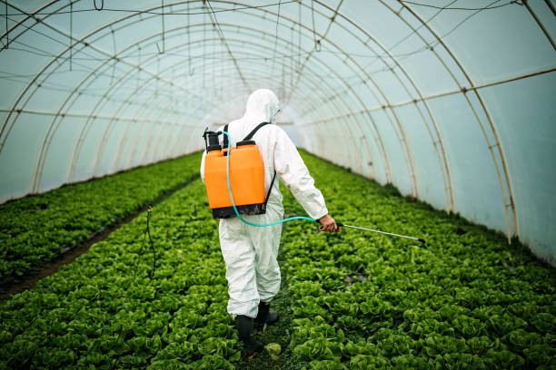 Pest Control for Restaurants in South Greensburg, PA